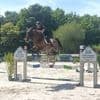 « Un prestige équestre » : le Jumping d’Hennebont, une nouvelle épreuve qui a offert du spectacle
