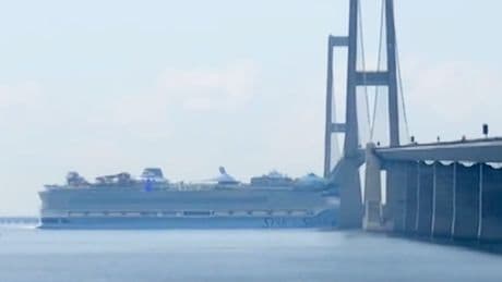 "Star of the Seas": Größtes Kreuzfahrtschiff der Welt passiert Ostseebrücke haarscharf