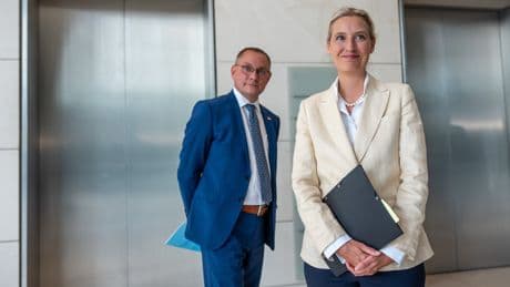 Umfrage-Experte rechnet ab - SPD und CDU machen es der AfD viel zu einfach!