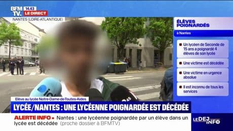 Attaque au couteau dans un lycée; "Apparemment, c'était un élève un peu bizarre depuis le début de l'année", témoigne un des élèves de Notre-Dame-de-Toutes-Aides à Nantes
