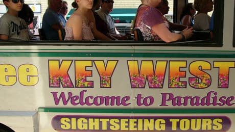 2 Books to Bring Key West to Life