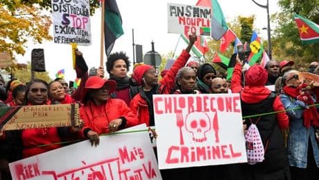 Chlordécone : l’Etat condamné à indemniser deux anciennes ouvrières agricoles
