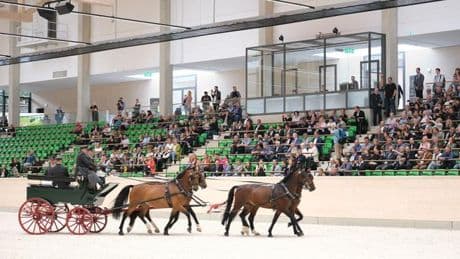 Reitsport: Neue Reithalle für Landgestüt Moritzburg