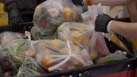 ‘An Existential Threat’: Food Banks Brace for Fallout From Trump Cuts