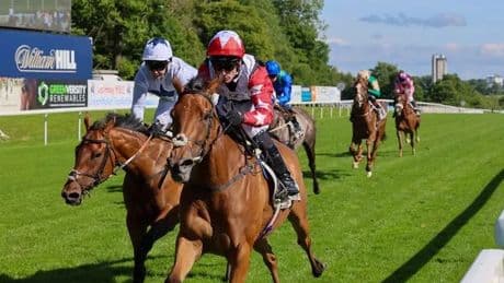 Claim a free pair of horse racing tickets with Scottish Racing