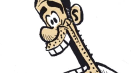 Idígoras y Pachi