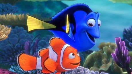 Finding Nemo fans baffled after learning disturbing truth about clownfish