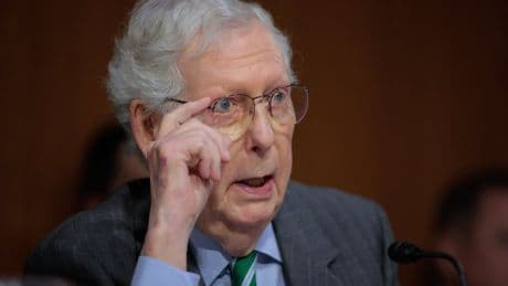 Sen. Mitch McConnell warns: ‘This is the most dangerous period since before World War Two’