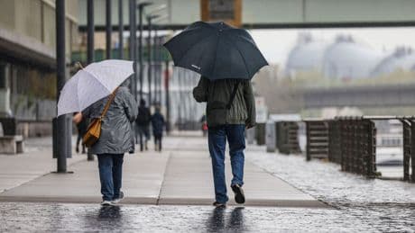 Wetterbericht: Regen in Nordrhein-Westfalen - am Freitag auch Gewitter
