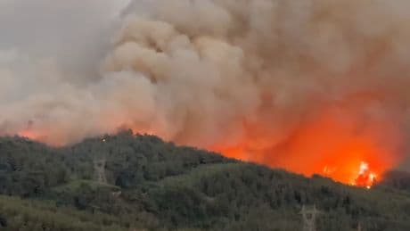 Hatay’daki orman yangınına ilişkin 1 kişi gözaltına alındı