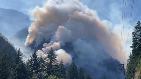 New wildfire north of Yale, B.C., prompts evacuation alert
