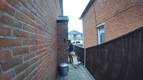 Shocking moment dog walker drags animals by their leads & hurls them into home as owner’s pal slams ‘sickening’ footage