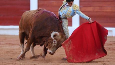 Espartaco y el "chiquillo" que fue a conocer a Marco