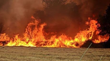 Edirne, İzmir ve Balıkesir'de orman yangını