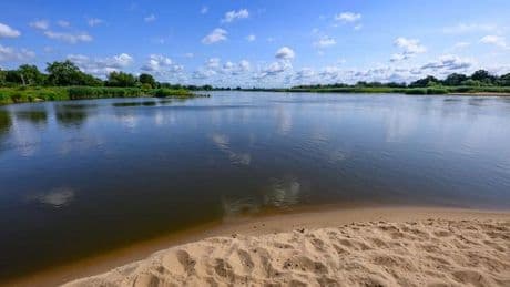 Nach der Umweltkatastrophe: Fischbestand in Oder wächst - Risiko durch Alge bleibt