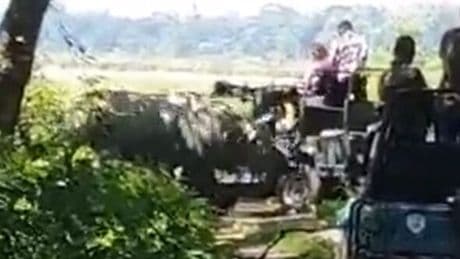 Terror in India as angry rhino lifts up tourists' safari jeep