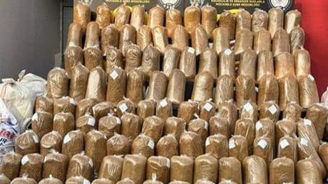 Adana'da 12 milyon 410 bin makaron ve 725 kilogram tütün ele geçirildi