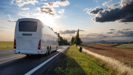 ‘All services ceased’ as liquidators appointed to Scottish school bus firm