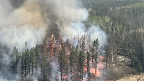 Canada’s Wildfire Season Off to a Deadly Start