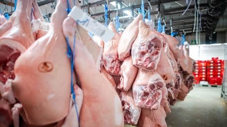 Strafzölle: China geht gegen „Dumping“-Preise für europäisches Schweinefleisch vor