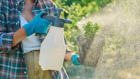 Kraut & Dübel: 46 Prozent Rabatt auf XenTari Bio Spritzpulver: Top Garten Angebote am Freitag