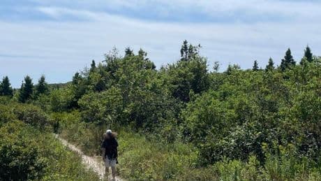 Some people risk $25,000 fine to reach Nova Scotia's nude beach