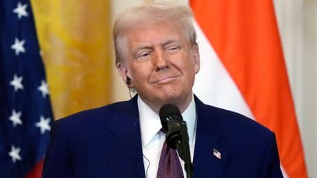 Neue Zölle ab 1. August - Trump bestraft Indien wegen Putin