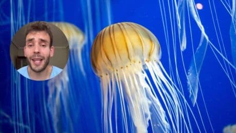 El enfermero Jorge Ángel desvela qué hacer cuando te pica una medusa: ''No frotes la zona''