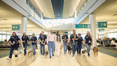 Pup Patrol At Pensacola Airport Brings Smiles To Staff And Passengers