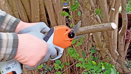 Astschere ASA 20 von Stihl: Den Finger am Abzug