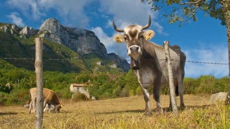 Cilento ist ein Stück Italien aus dem Bilderbuch