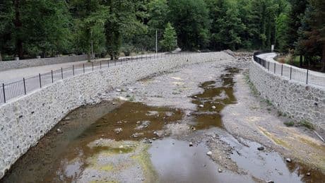 Sakarya’da korkutan manzara: Doğaseverlerin gözdesi kurudu