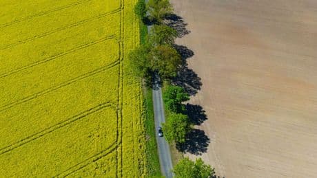 Wetteraussichten: Sonnenschein, etwas Regen und Frost in Berlin-Brandenburg
