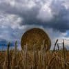 Temperaturen zwischen 23 und 26 Grad: Schauer und Gewitter am Sonntag in Berlin und Brandenburg