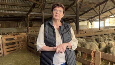 "Une grande fierté": Marie-José Allemand, éleveuse de brebis et députée des Hautes-Alpes