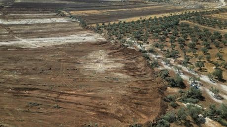 Cisjordanie: des centaines d'arbres palestiniens déracinés en présence de l'armée israélienne
