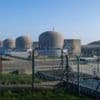 Jellyfish disrupt French nuclear power plant for second time in a month