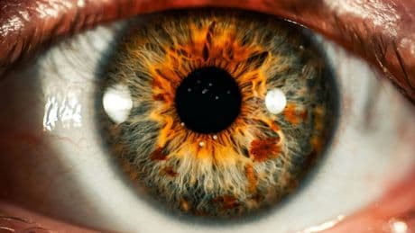 Des chercheurs ont trouvé le moyen de rendre la vue à des millions de personnes grâce à la régénération cellulaire