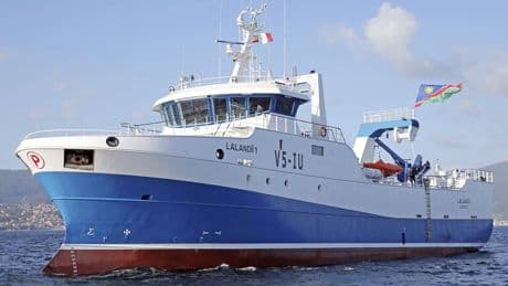 Nueva Pescanova avanza en su recorte de pérdidas y aumenta ebitda a 27 millones