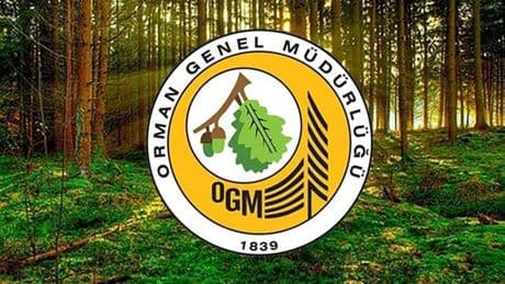 Resmi Gazete'de yayımlandı: Orman Genel Müdürlüğü 105 personel alacak! İşte başvuru şartları...