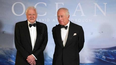 David Attenborough : “L’humanité vide les océans de leur vie”