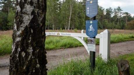 Wandelaar op Landgoed Den Treek vermoedelijk door wolf gebeten