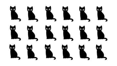 Katzen-Suchbild: Augentest: Entdecken Sie die eine andere Katze in nur 15 Sekunden?