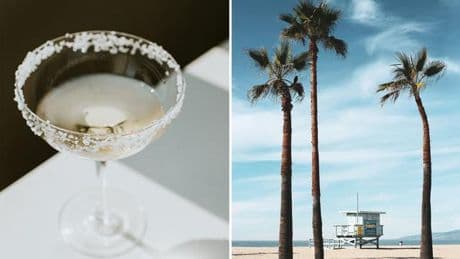 Margarita: Margarita trinken und vom Ankommen schwärmen