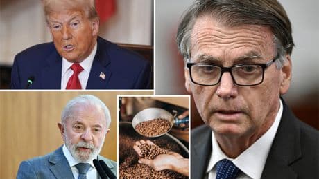 Coffee prices rise again after Trump slaps Brazil with 50% tariffs