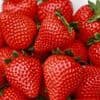 How eating strawberries each day could help keep dementia at bay