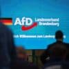 Sieben Gründe für die Hochstufung: Darum nennt der Verfassungsschutz die Brandenburger AfD gesichert rechtsextrem