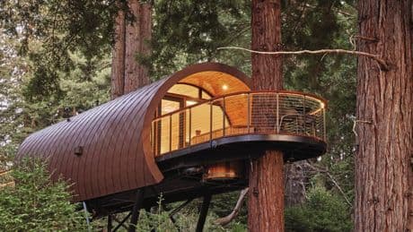 Sospesi nel verde: il bello di dormire sugli alberi