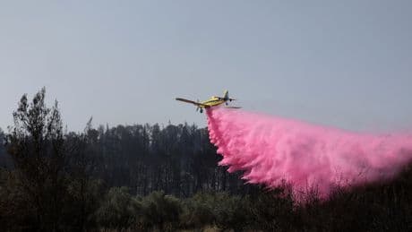 Watch: Israeli military tackles blazing wildfires as Jerusalem-Tel Aviv highway blocked