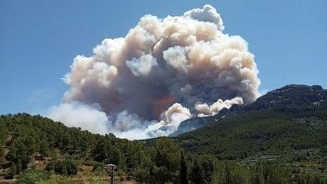 El virulento incendio de Tarragona y otras imágenes del día